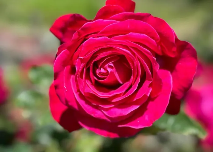 Lejlighed Casa Ex Bar Fiolet Gignod