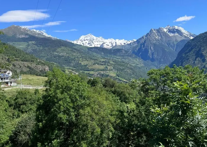 Casa Ex Bar Fiolet *